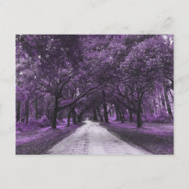 cartão postal da estrada santee