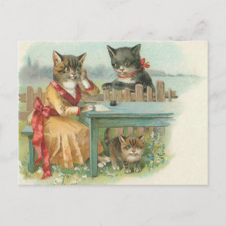 cartão postal da família cat