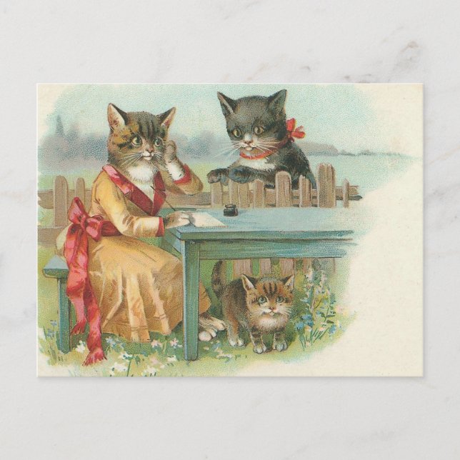 cartão postal da família cat (Frente)