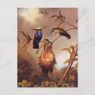 Cartão postal da família Hummingbird