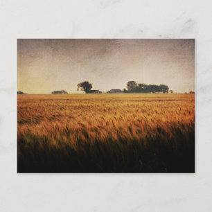 Cartão postal da Fazenda Texas