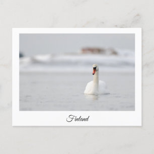 Cartão postal da Finlândia souvenir
