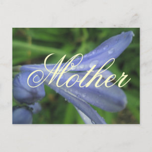 Cartão postal da flor azul elegante da mãe
