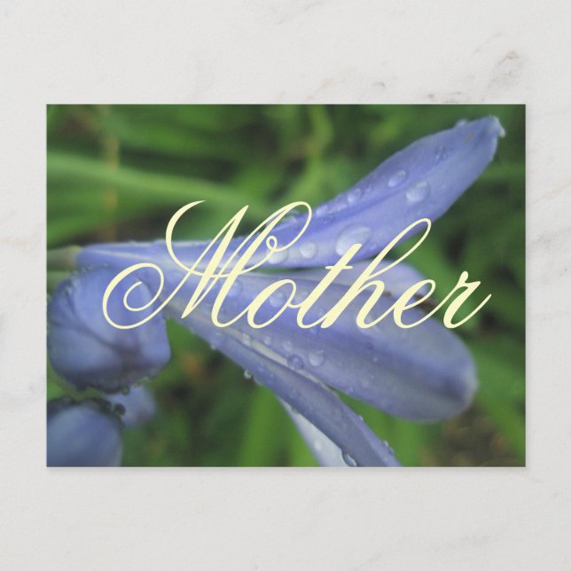 Cartão postal da flor azul elegante da mãe (Frente)