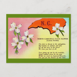 Cartão Postal da Flor do Estado da Carolina do Nor