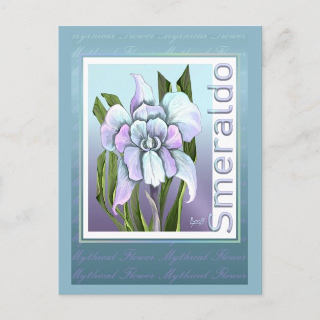 Cartão Postal da Flor Smeraldo (Frente)