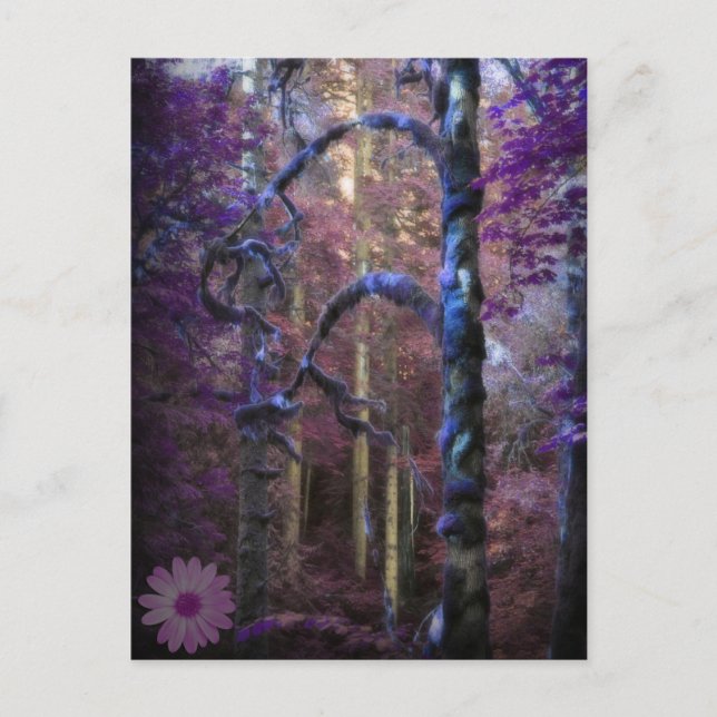 Cartão Postal da Floresta Roxa Mística (Frente)