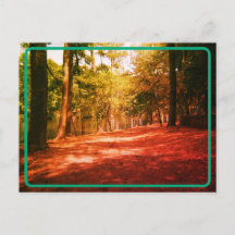 Cartão postal da Floresta Vintage