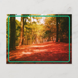 Cartão postal da Floresta Vintage