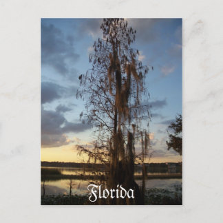 Cartão postal da Flórida