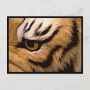 Cartão postal da foto do tigre