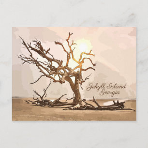 Cartão postal da Ilha de Jekyll Georgia