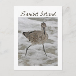 Cartão postal da ilha Sand Piper Sanibel
