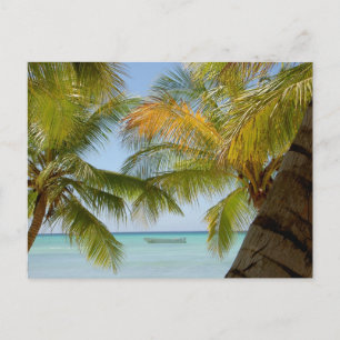 Cartão Postal da Ilha Saona (Ilha) República Domin