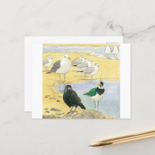 Cartão postal da Jackdaw Gull Sea