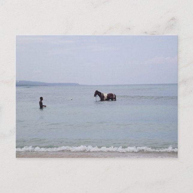 Cartão postal da Jamaica (Frente)