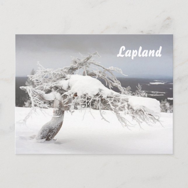 Cartão postal da Lapland Souvenir (Frente)