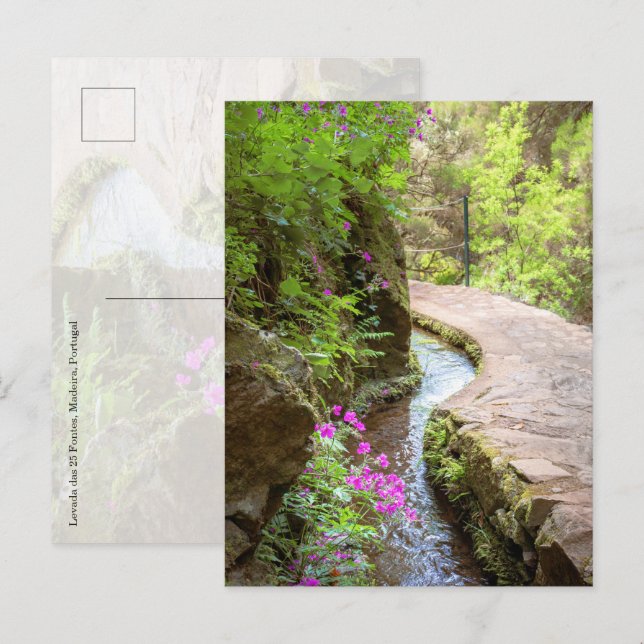 Cartão postal da Levada das 25 Fontes Madeira (Frente/Verso)