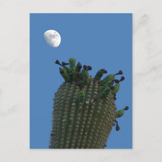 Cartão postal da Lua Saguaro