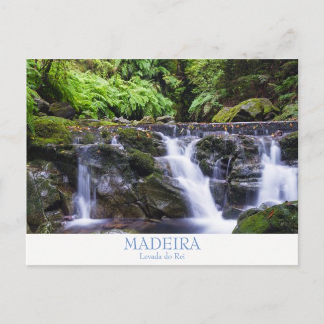 Cartão postal da Madeira - Levada do Rei com texto (Frente)