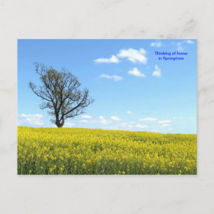 Cartão postal da natureza