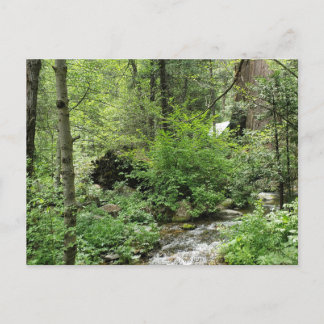 Cartão postal da natureza
