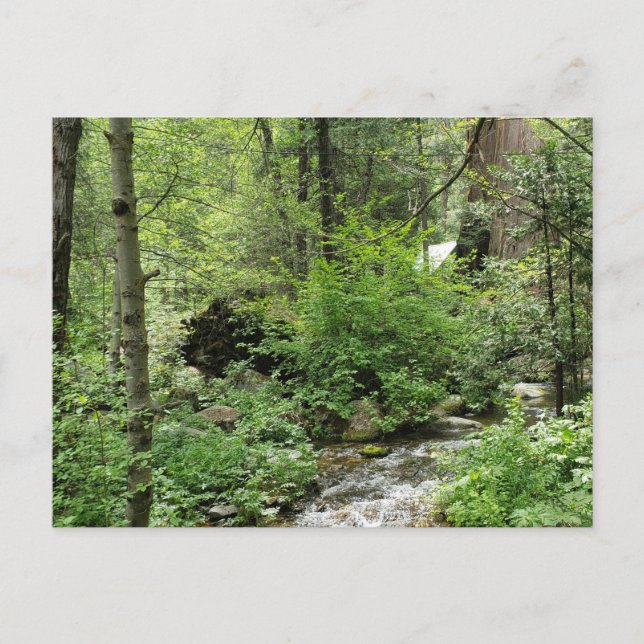 Cartão postal da natureza (Frente)