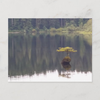 Cartão postal da natureza