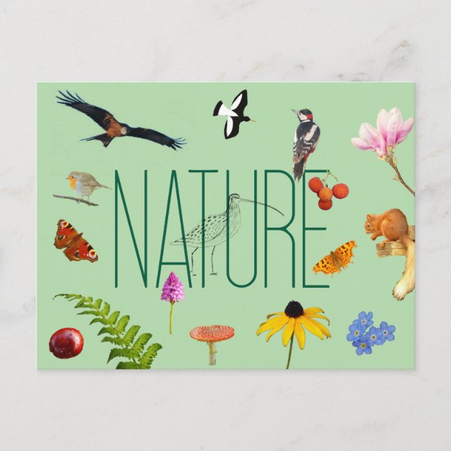Cartão postal da natureza (Frente)