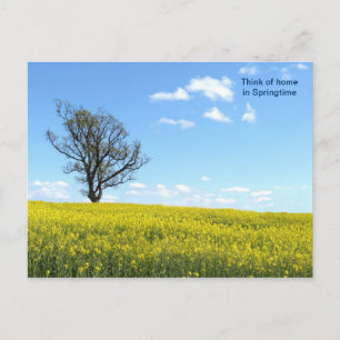 Cartão postal da natureza