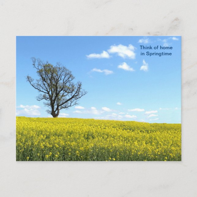 Cartão postal da natureza (Frente)