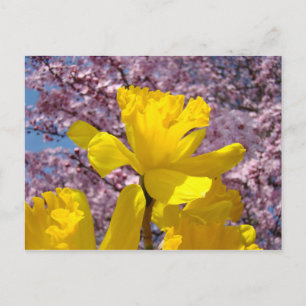 Cartão Postal da Natureza Floral Primavera Flores 
