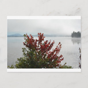 Cartão postal da névoa matinal de Adirondack