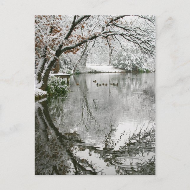 Cartão postal da paisagem de inverno (Frente)