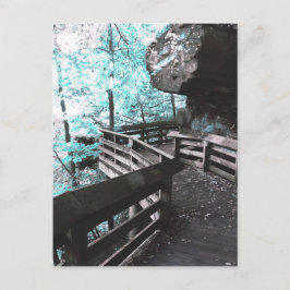 cartão postal da passeio de brandina