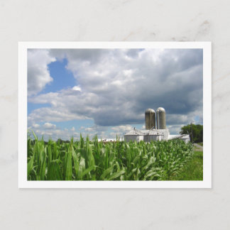 Cartão postal da Pensilvânia Cornfield