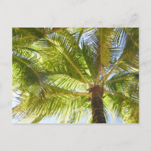 Cartão Postal da Praia da Palmeira