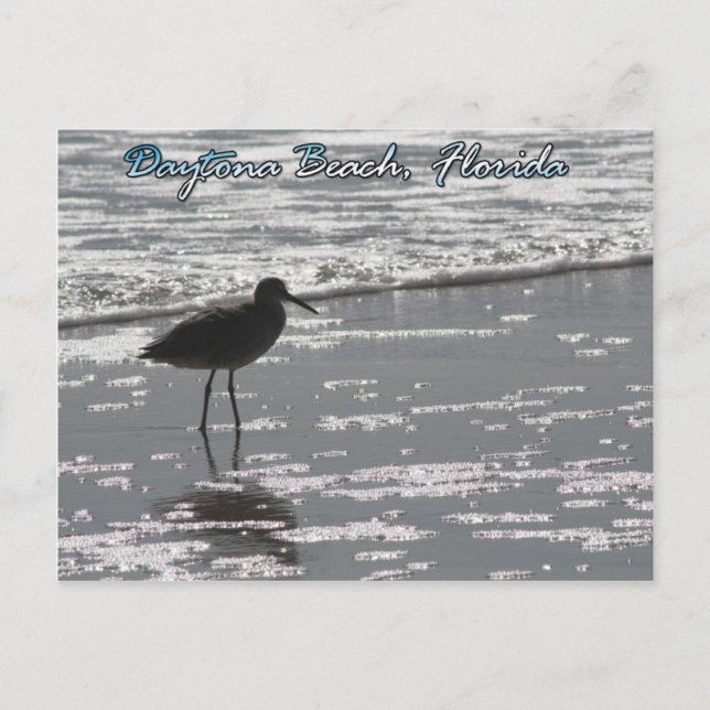 Cartão postal da praia Daytona (Frente)