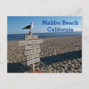 Cartão postal da praia de Malibu - Placa da gaivot