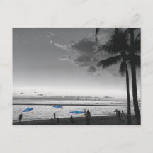 Cartão postal da praia e palmeiras do Havaí