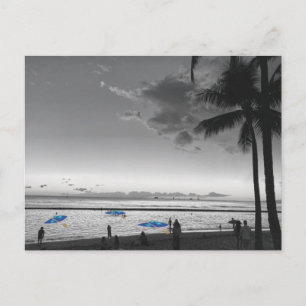 Cartão postal da praia e palmeiras do Havaí
