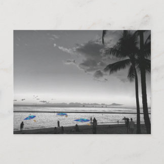 Cartão postal da praia e palmeiras do Havaí