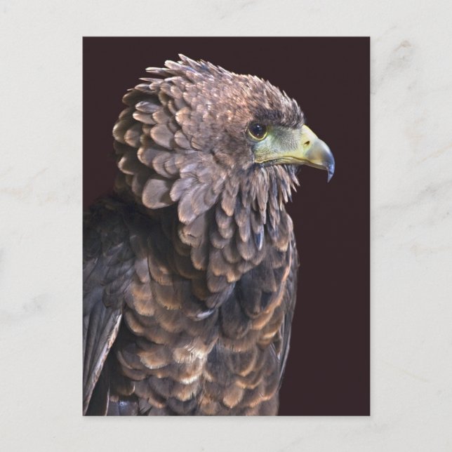 Cartão Postal da Rainha Alien (Frente)