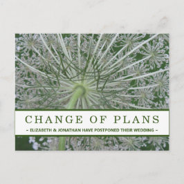 Cartão postal da Rainha Anne de Rendas