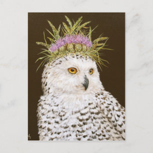 Cartão postal da Rainha da Neve