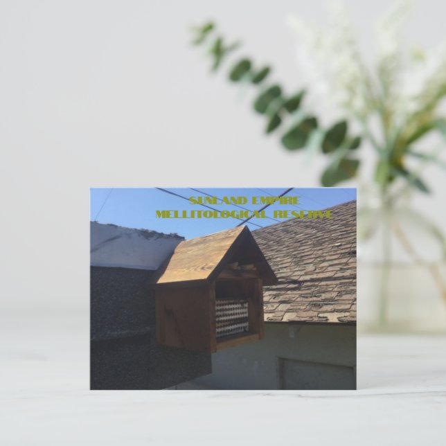 Cartão postal da Reserva Mellitológica do Império  (Em pé/Frente)