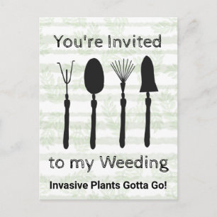 Cartão postal da Semana de Flores Selvagens