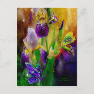 Cartão postal da Summer Life