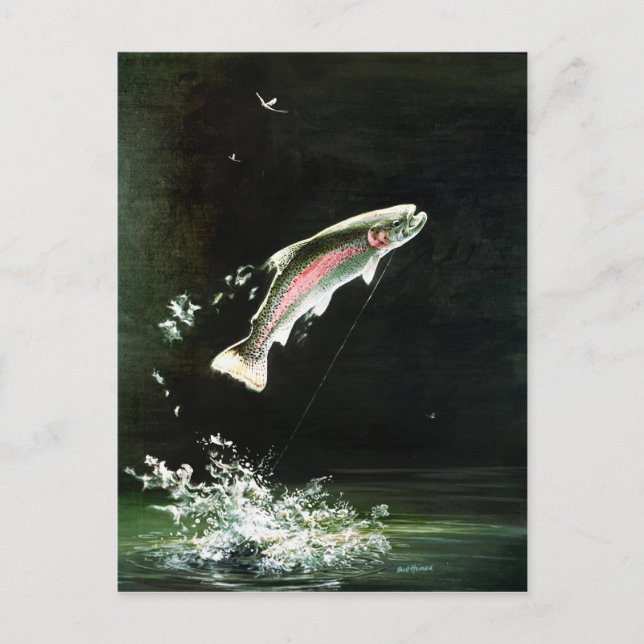 cartão postal da truta arco-íris (Frente)
