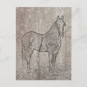 Cartão postal da União dos Cavalos da Guerra Civil